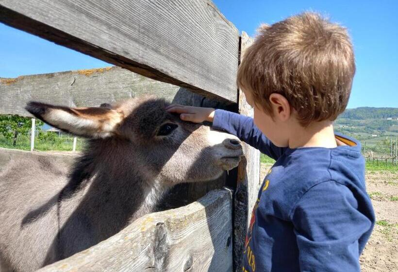 هتل Agriturismo L  Isola Di Arturo