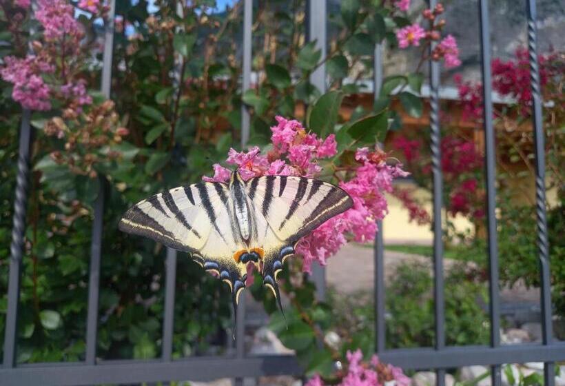 هتل Agriturismo L  Isola Di Arturo