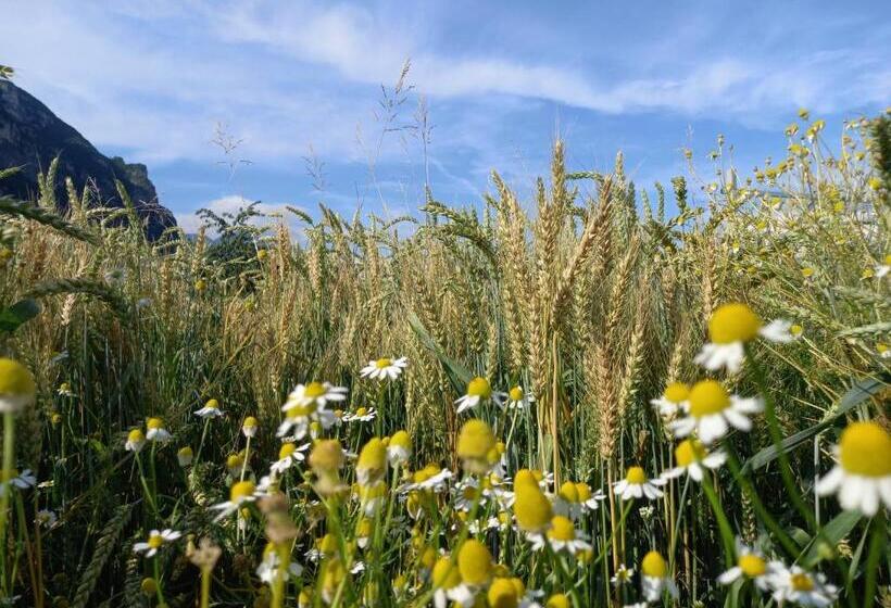 هتل Agriturismo L  Isola Di Arturo