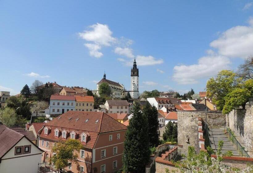 호텔 Florentina Boat