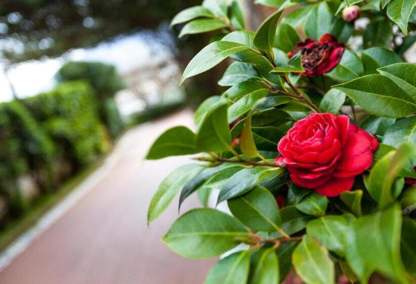 Na  Poesia B&b Di Charme