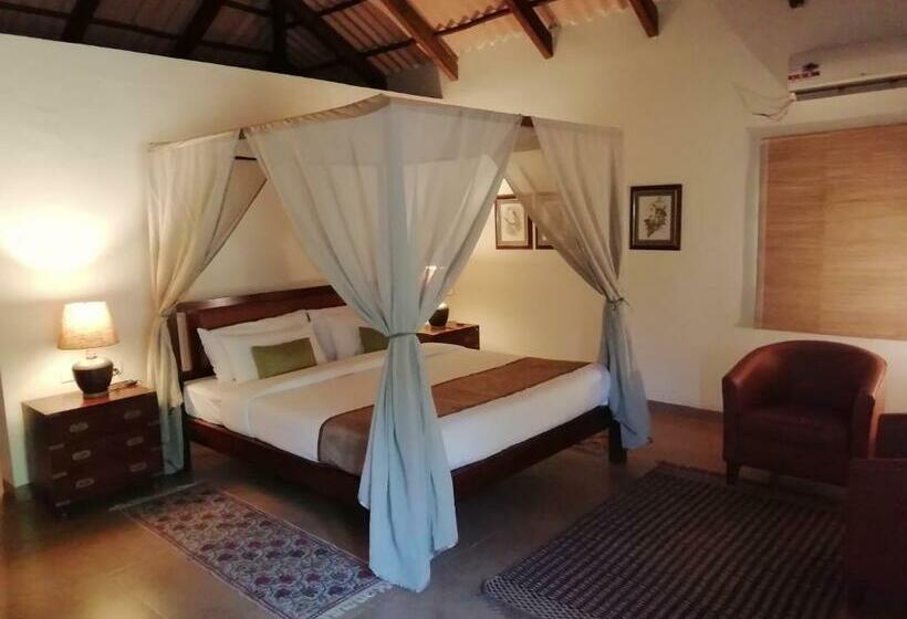 Курорт Bagh Tola,kanha Tiger Reserve