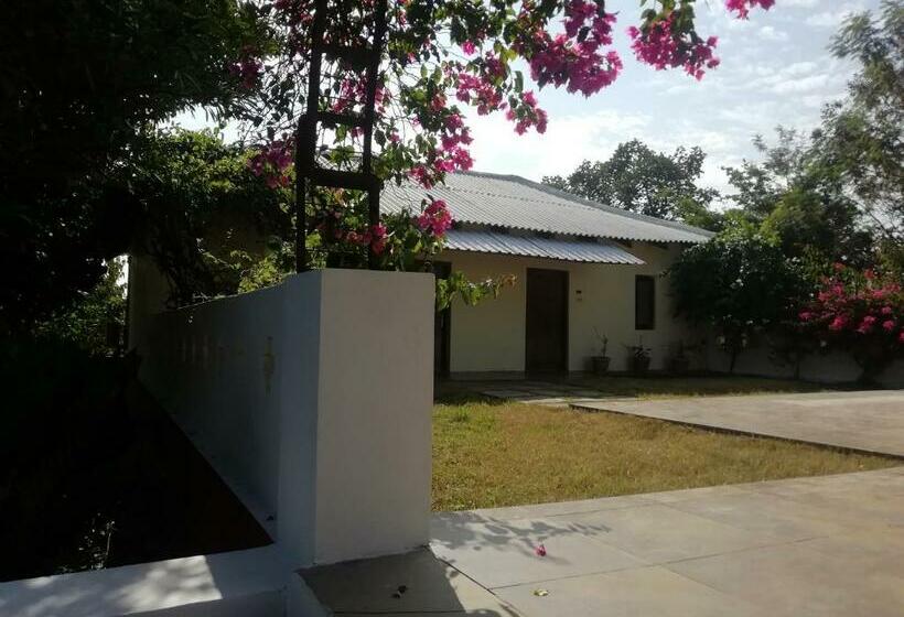 Курорт Bagh Tola,kanha Tiger Reserve