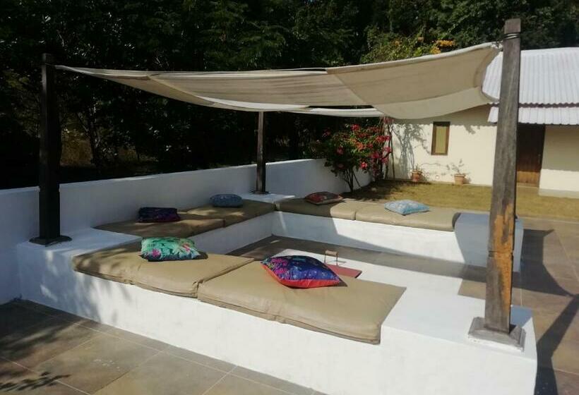 Курорт Bagh Tola,kanha Tiger Reserve