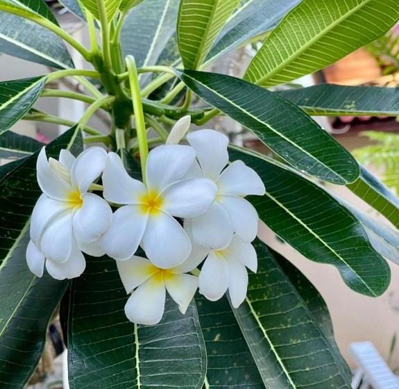 Viking Holiday Resort