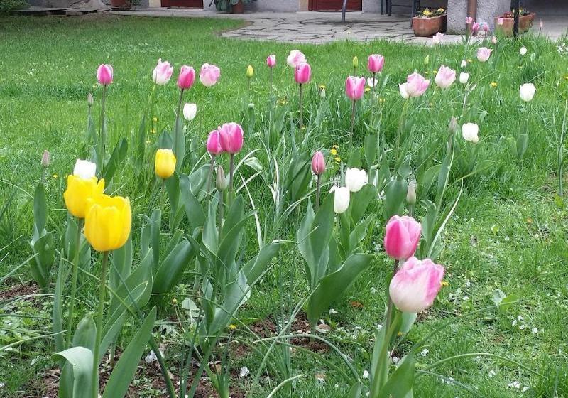 Agriturismo Cascina Madonnina