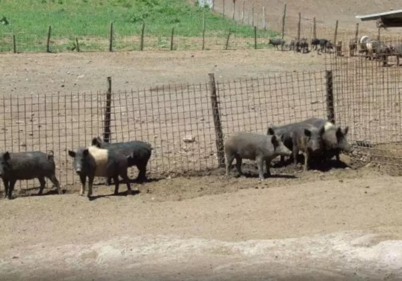 Agriturismo Il Marrugio