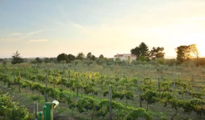 Agriturismo Il Marrugio
