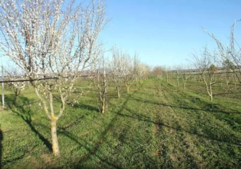 Agriturismo Il Marrugio