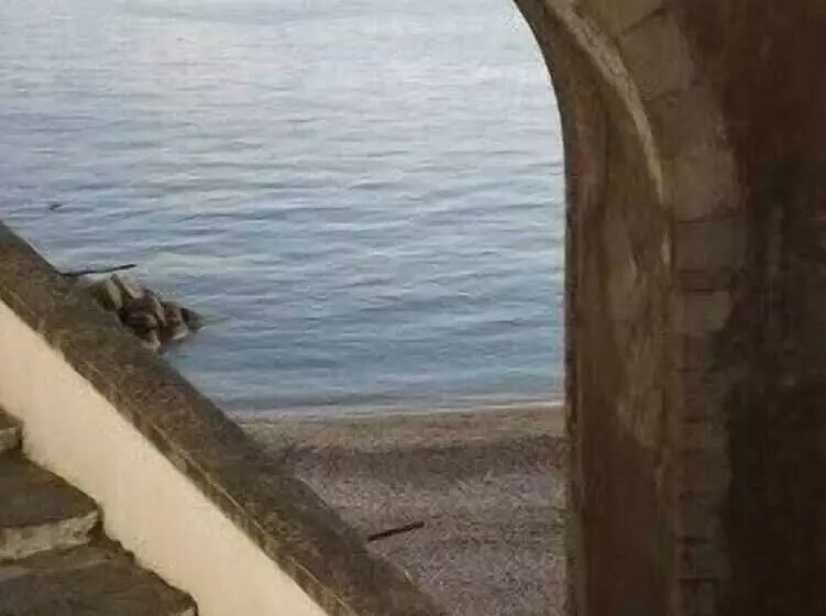 تختخواب و صبحانه Me.fra Camere