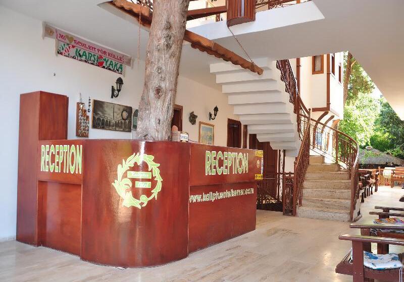 בית מלון כפרי Kaliptus