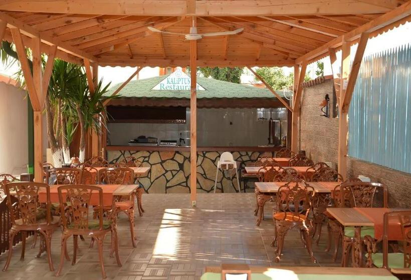 בית מלון כפרי Kaliptus