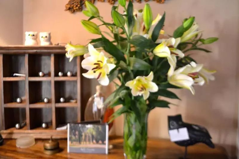 Отель Relais Ciavatta Country