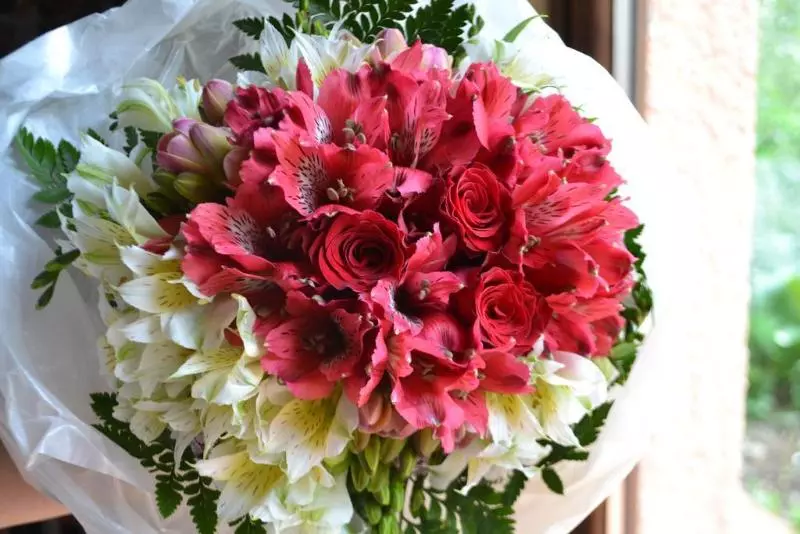 Отель Relais Ciavatta Country