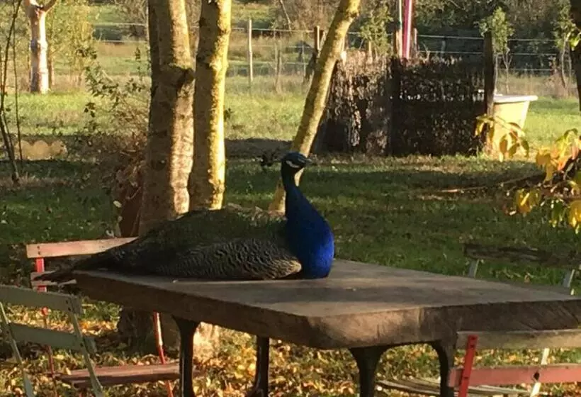 Aamiaismajoitus (B&B) Dormir Ben Aise Hammam Massages