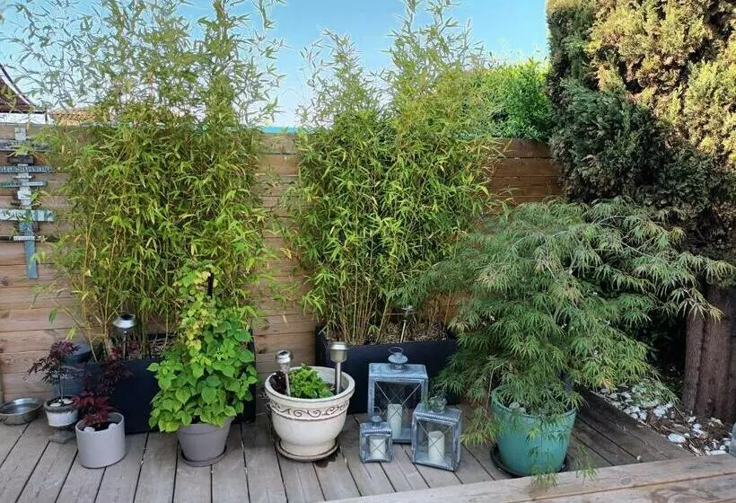 تختخواب و صبحانه Jolie Petite Suite Côte D Azur