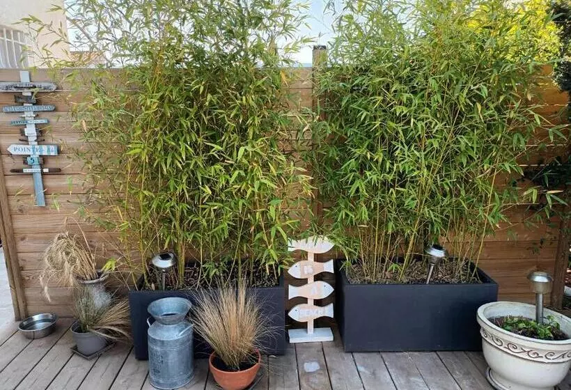 تختخواب و صبحانه Jolie Petite Suite Côte D Azur