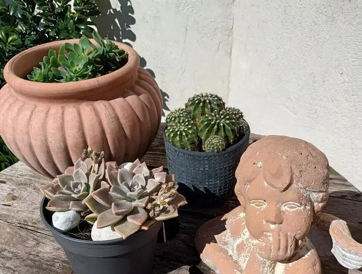 تختخواب و صبحانه Jolie Petite Suite Côte D Azur