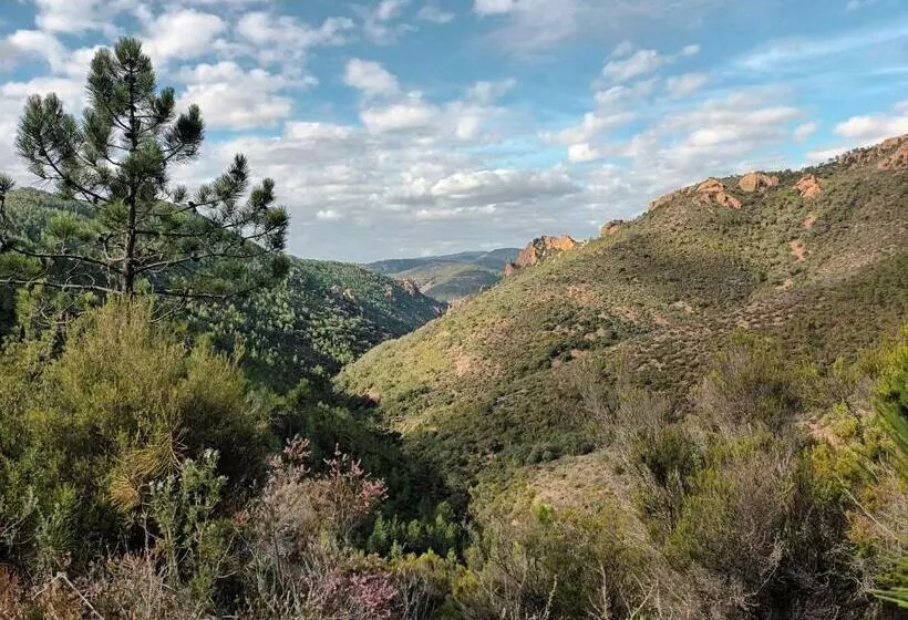 تختخواب و صبحانه Jolie Petite Suite Côte D Azur