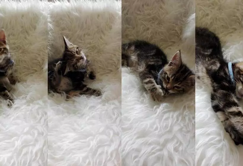 Aamiaismajoitus (B&B) La Malposte