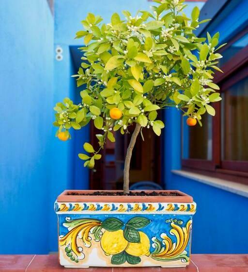 Bed and Breakfast La Piazzetta