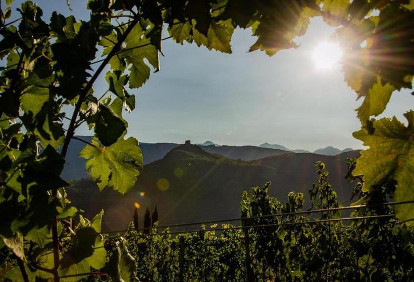 مبيت وإفطار Seaberhof