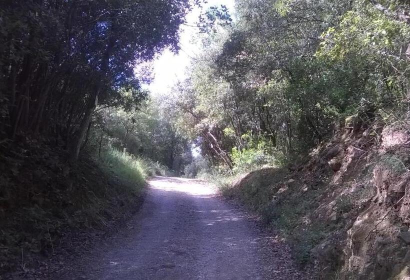 酒店 Poggio Al Sole Montalcino