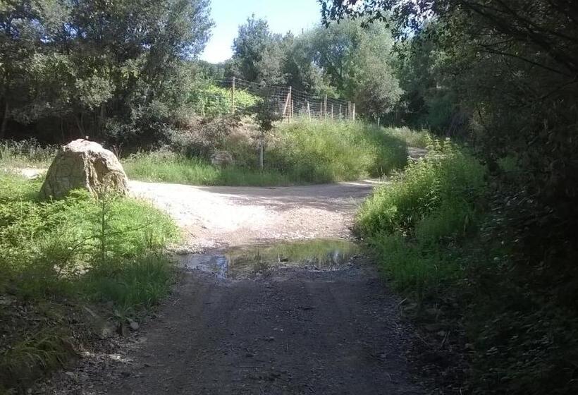 酒店 Poggio Al Sole Montalcino