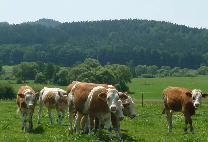 Landhotel Großeiberhof