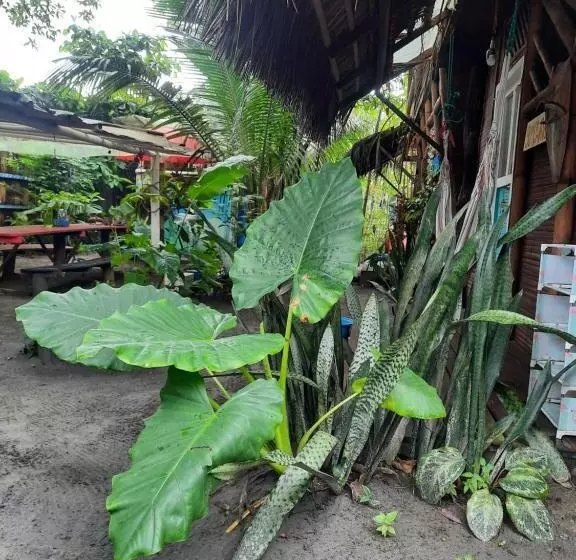 Majatalo Raices Mompiche