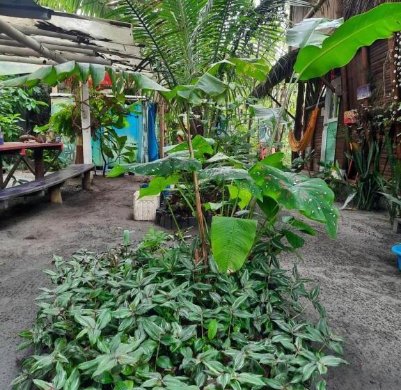 بنسيون Raices Mompiche