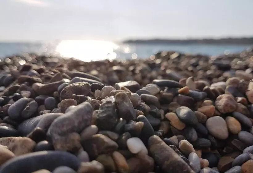 Residence San Antonio