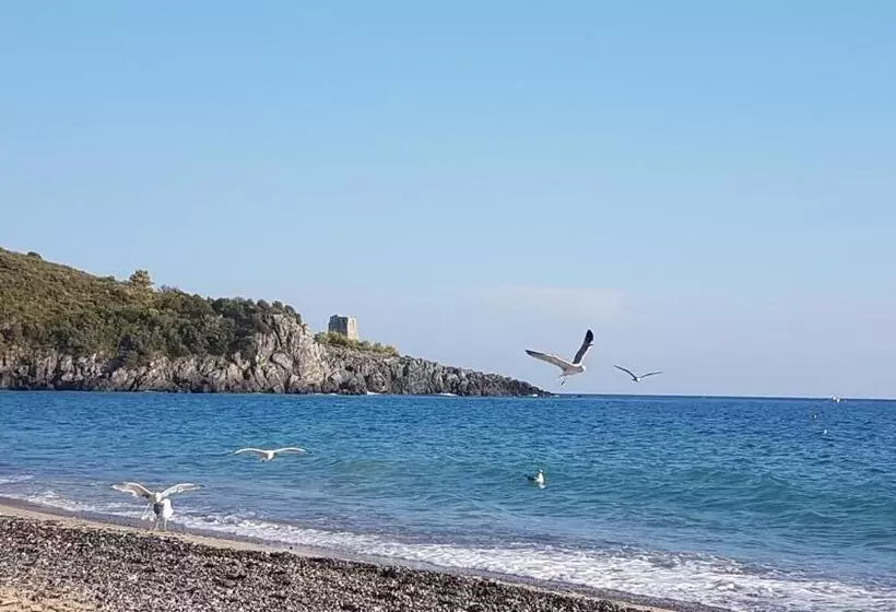 Residence San Antonio