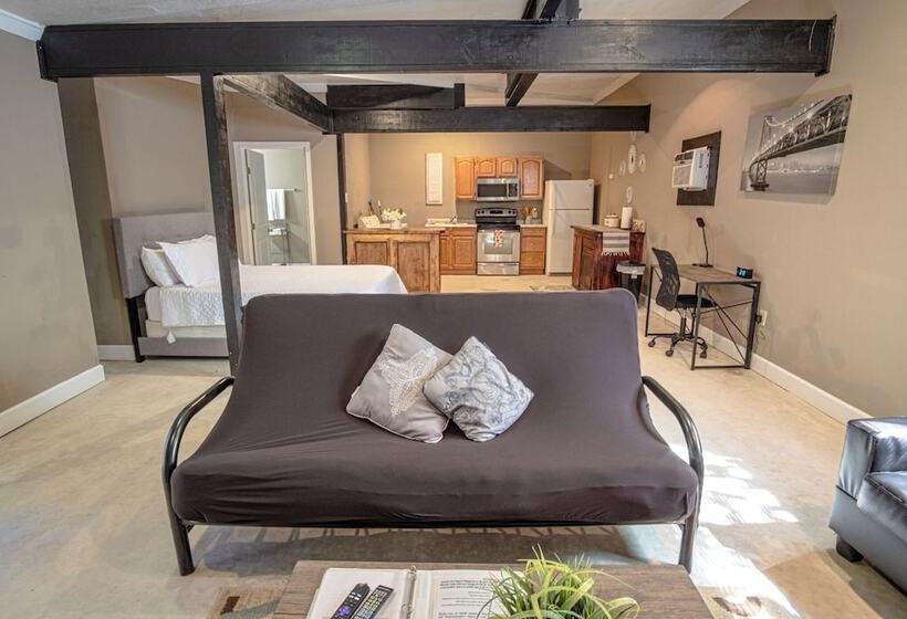 Big Studio Near Downtown With All Amenities