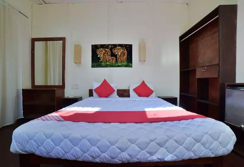 ホテル Agonda Diva Beach Resort By Oyo Rooms
