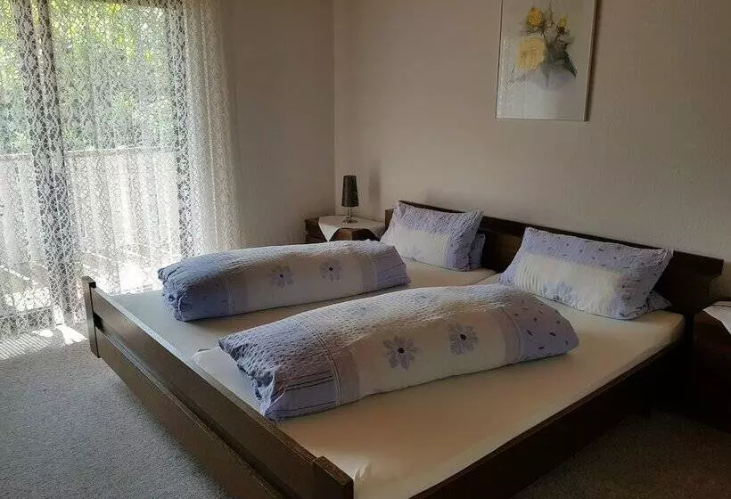 Hotelli Hôtel Restaurant Baumgartner