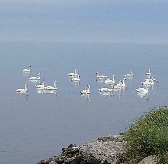 پانسیون Takvåning Borgholm
