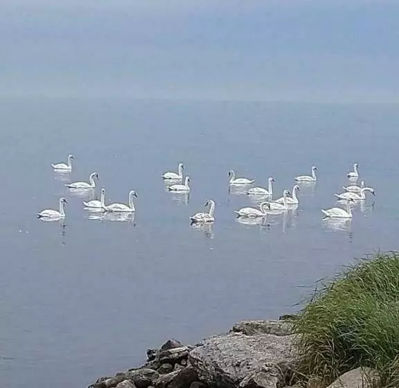 ペンション Takvåning Borgholm