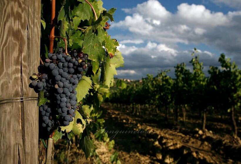 Agriturismo Sanguineto