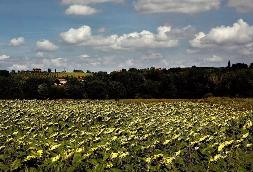 Agriturismo Sanguineto