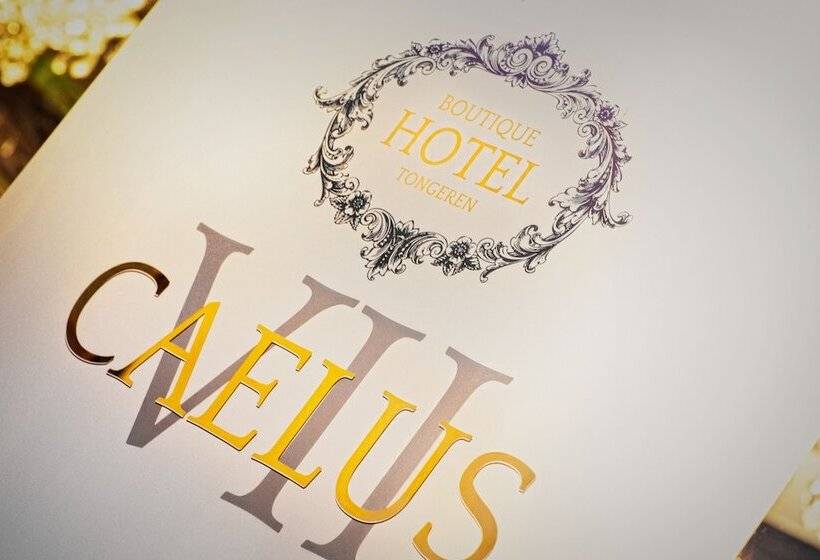 Boutique Hotel Caelus Vii