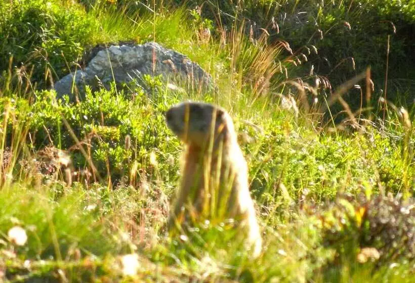 Hotel Albergo Sciatori