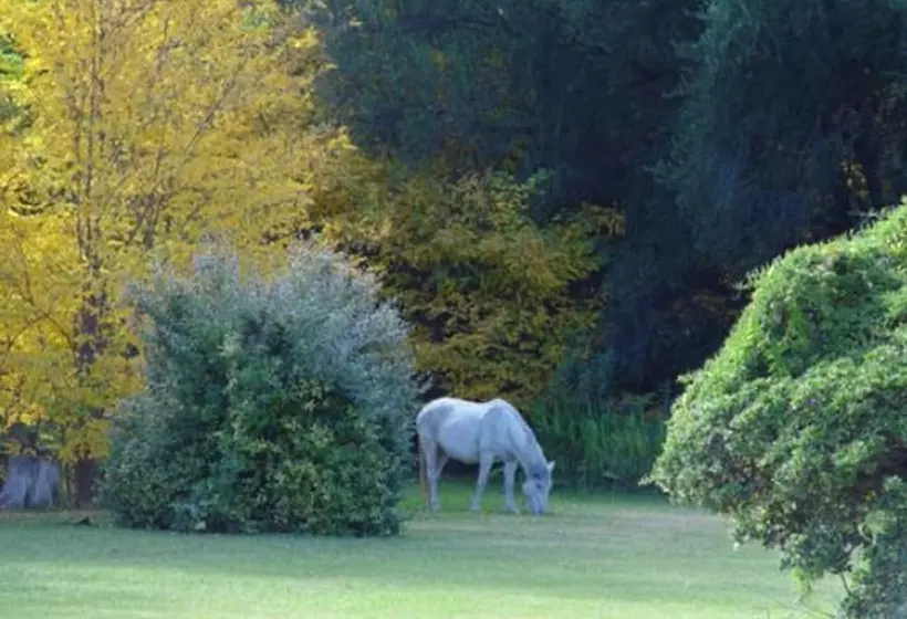 בית מלון כפרי Andes Lands