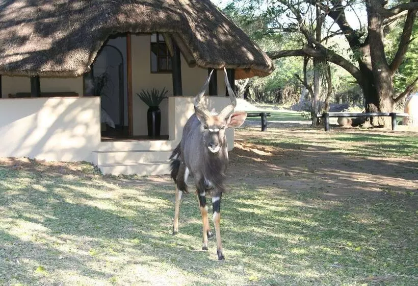 ホテル Bonamanzi Game Reserve