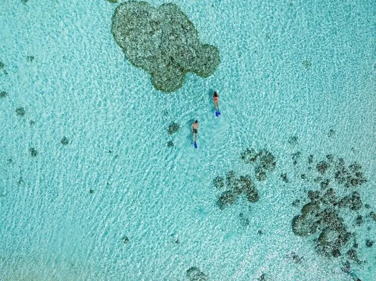 هتل Canareef Resort Maldives