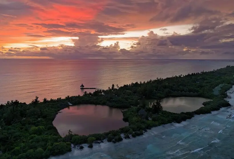 هتل Canareef Resort Maldives