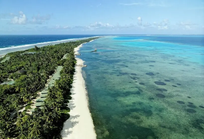 هتل Canareef Resort Maldives