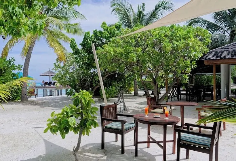 هتل Canareef Resort Maldives