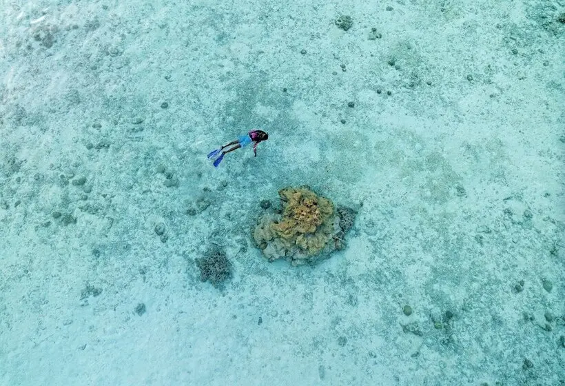 هتل Canareef Resort Maldives