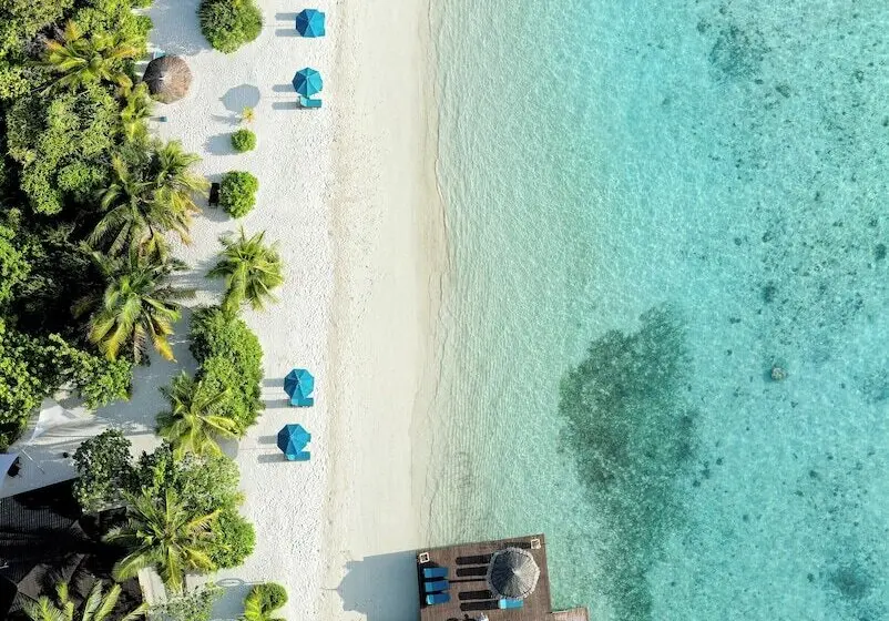 هتل Canareef Resort Maldives